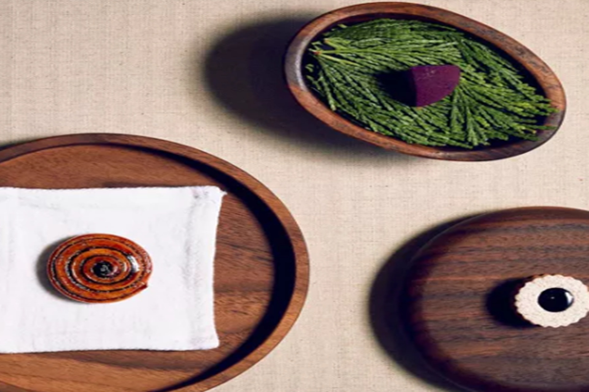 Read more about the article Sons & Daughters