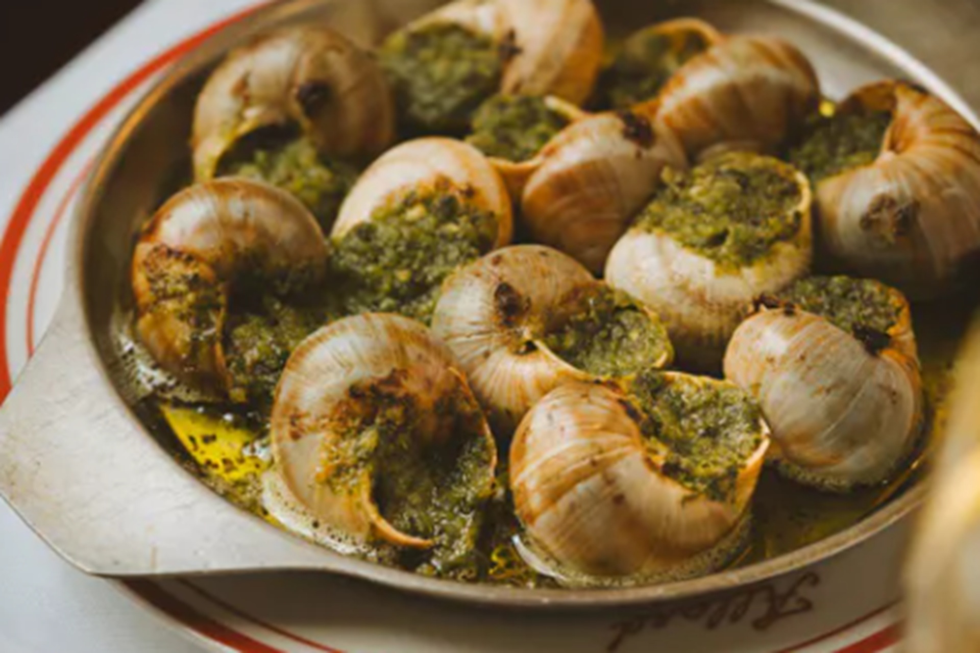 Read more about the article Allard Paris