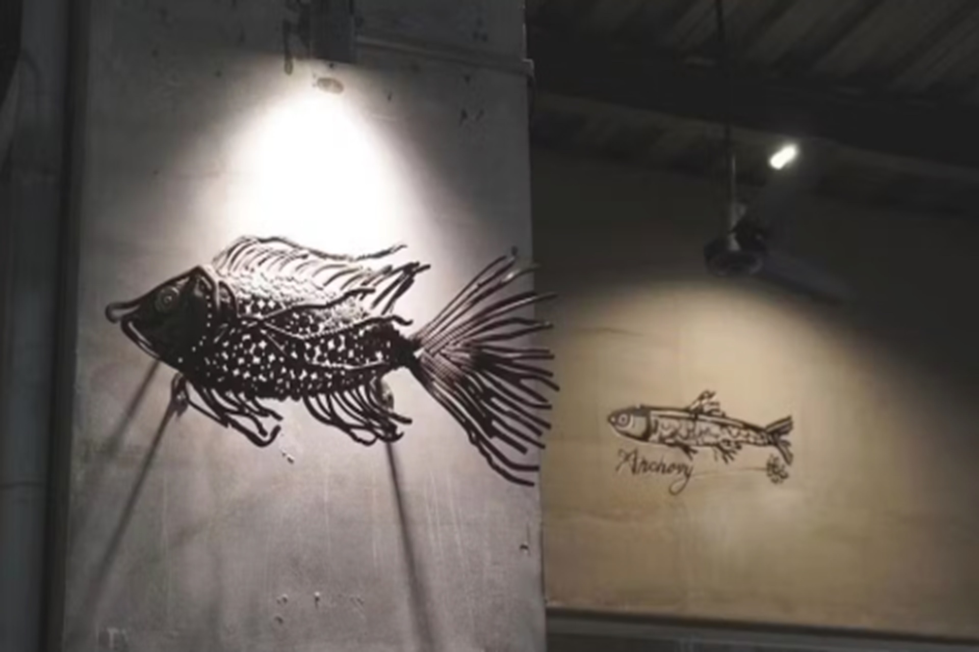 Read more about the article Anchovy