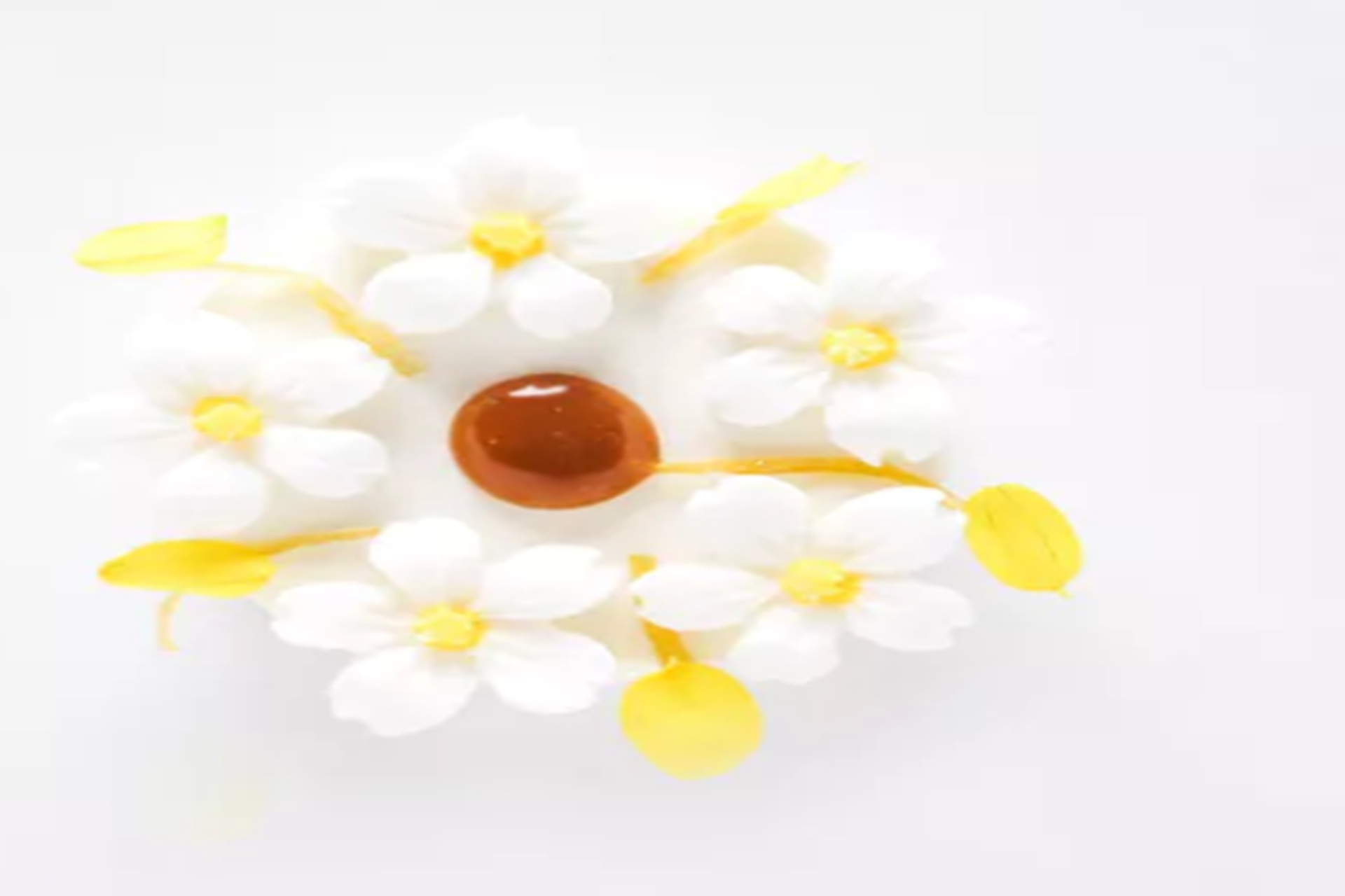 Read more about the article Somni